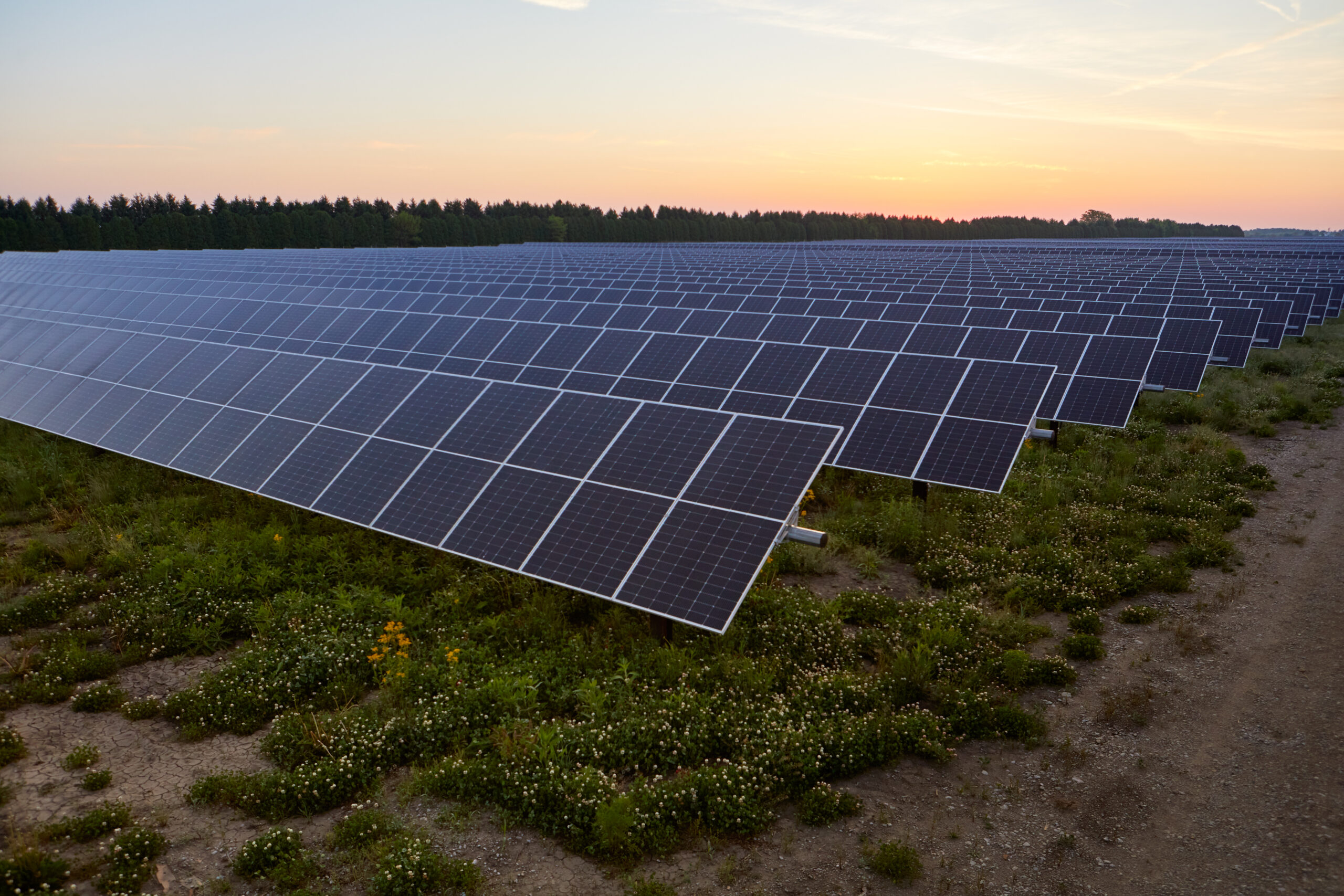 Edf Renewables North America And Enbridge Celebrate Completion Of Fox Squirrel Solar Phase 1 3859